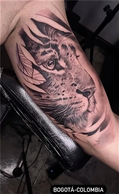 Cad a Chiallaíonn Leath Tíogair Tattoo?